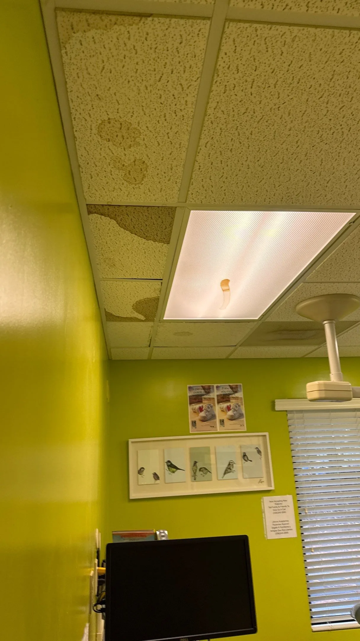 The ceiling tiles show significant water damage