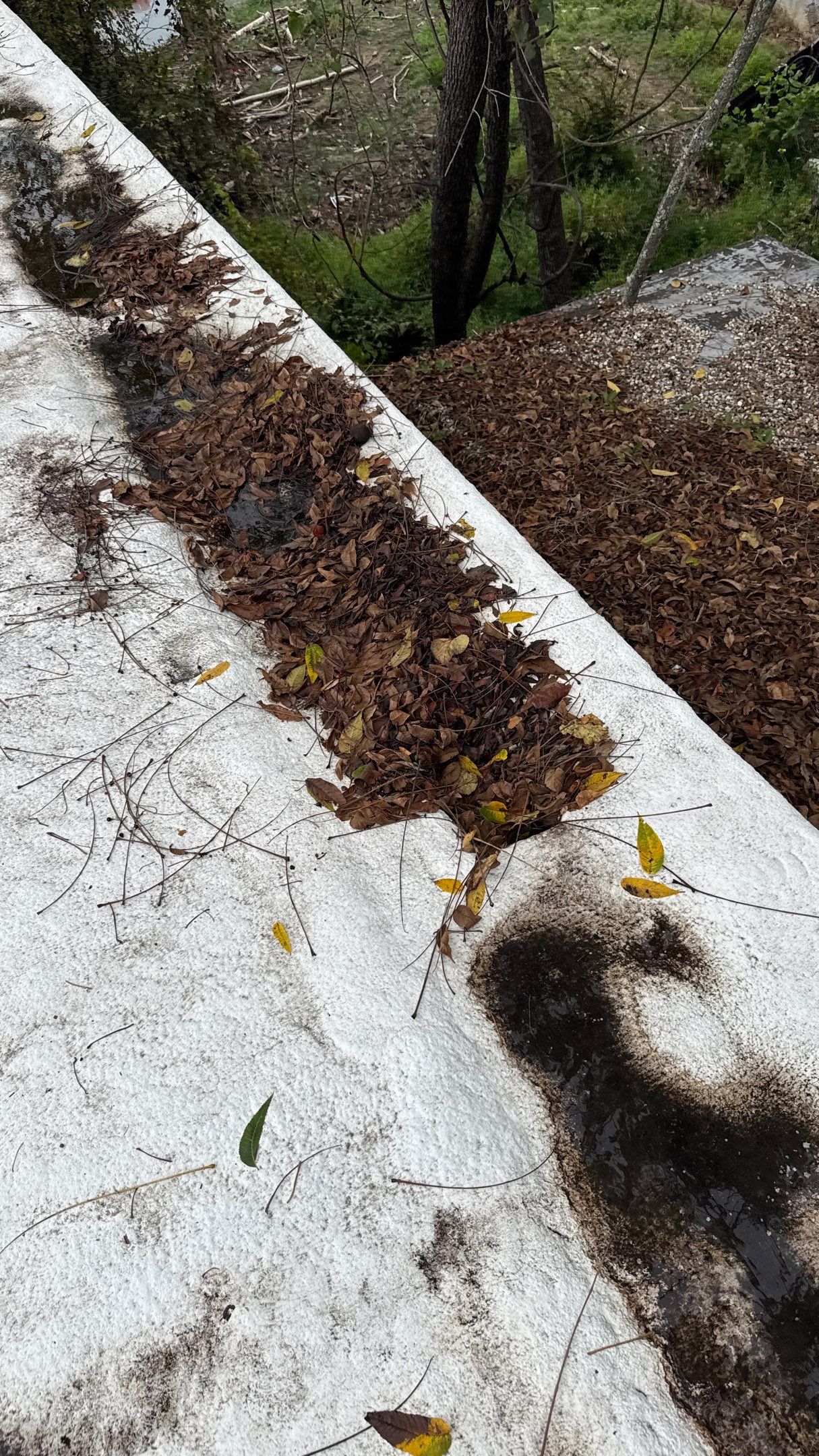 roof maintenance Greensboro NC — Sunny Sky Roofing