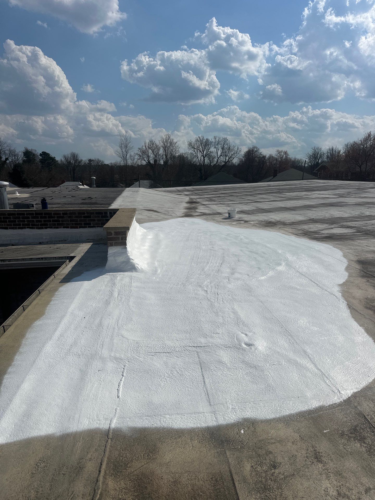 Sunny Sky Roofing project photo