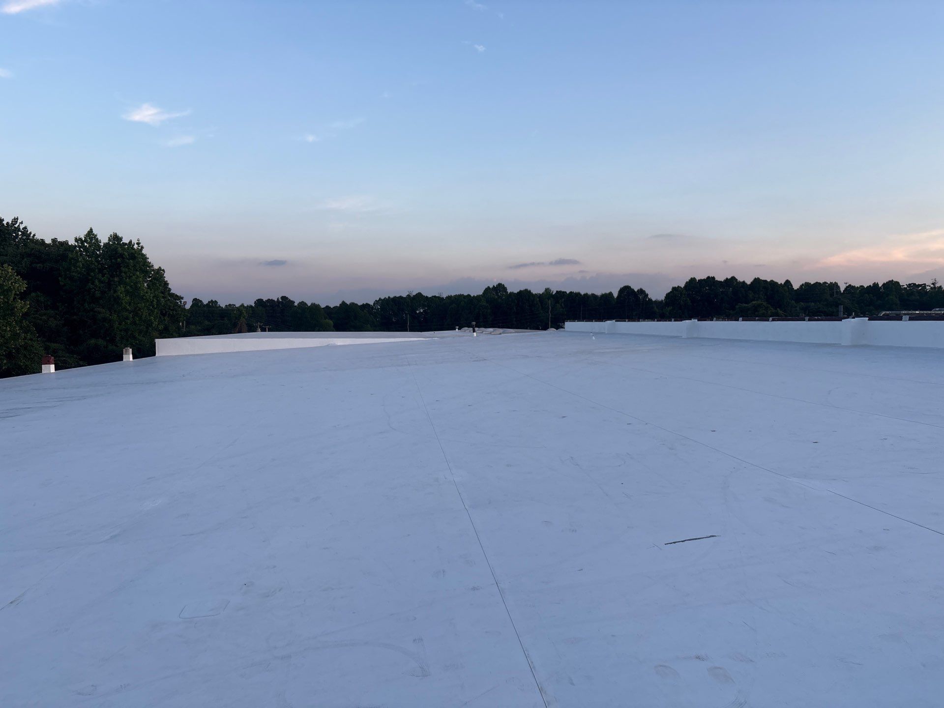 TPO Roofing Lexington NC: What Rotten Wood Teaches Us About Commercial Roofs
