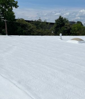 seamless spray polyurethane foam