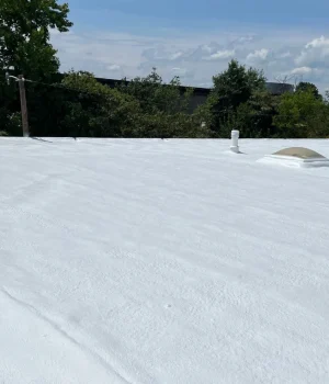 seamless spray polyurethane foam