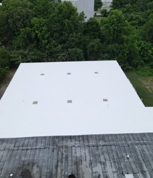 commercial building features a flat roof with a white coating