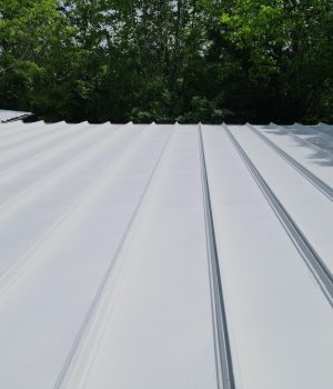 restorative coating applied over a standing seam metal roof