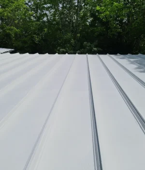 restorative coating applied over a standing seam metal roof